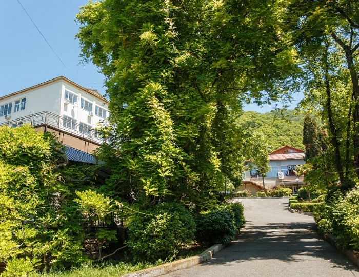 Санаторий «Аврора» Аше