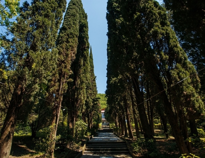 Санаторий «Аврора» Аше